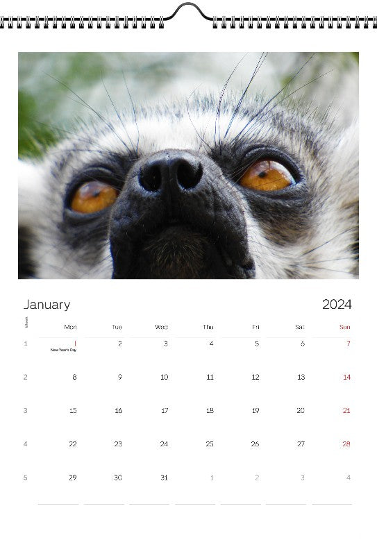 Animals 2024 Wall Calendar