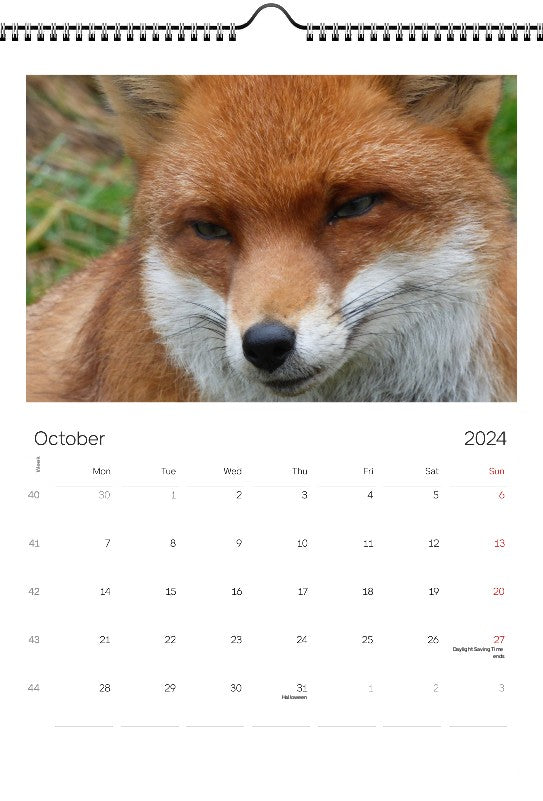 Animals 2024 Wall Calendar