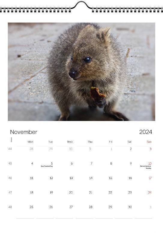 Animals 2024 Wall Calendar