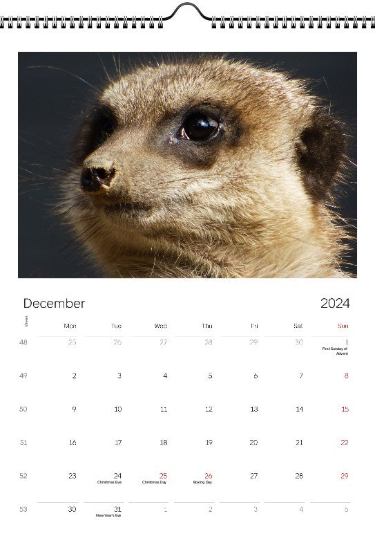 Animals 2024 Wall Calendar