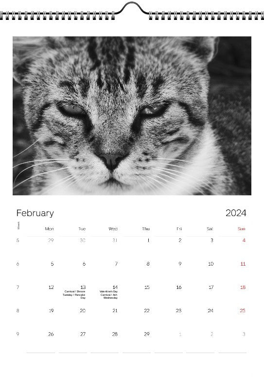 Animals 2024 Wall Calendar