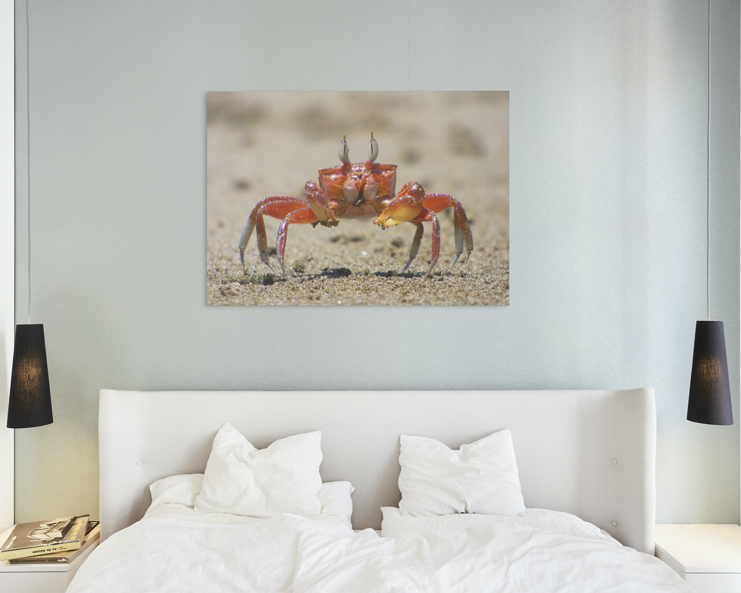 Crab Watching Canvas