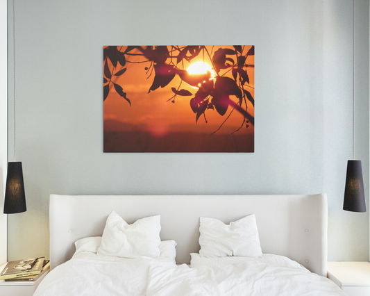 Beautiful Sunset Canvas