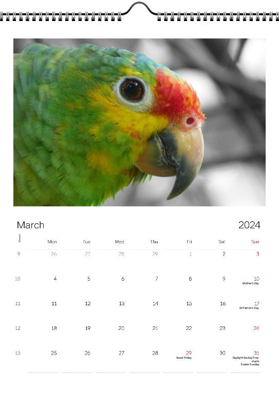 Animals 2024 Wall Calendar