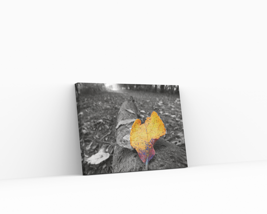 Autumn Leaves Canvas