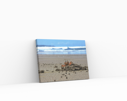 Crab on the Beach Canvas