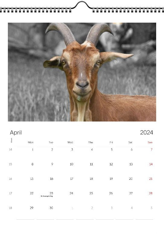 Animals 2024 Wall Calendar