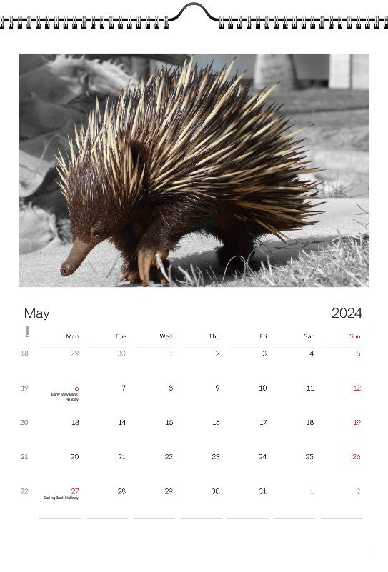 Animals 2024 Wall Calendar