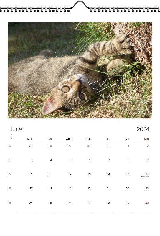 Animals 2024 Wall Calendar