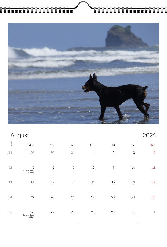 Animals 2024 Wall Calendar