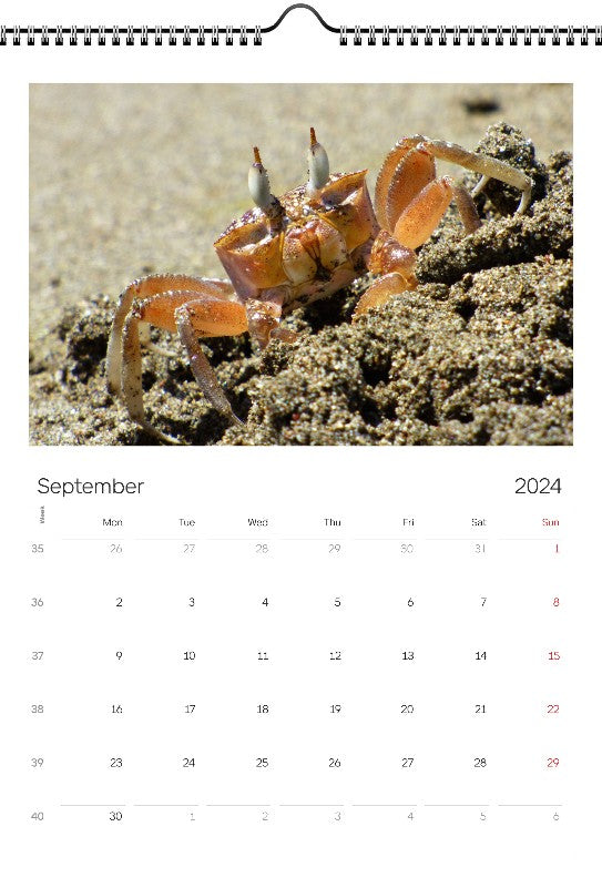 Animals 2024 Wall Calendar