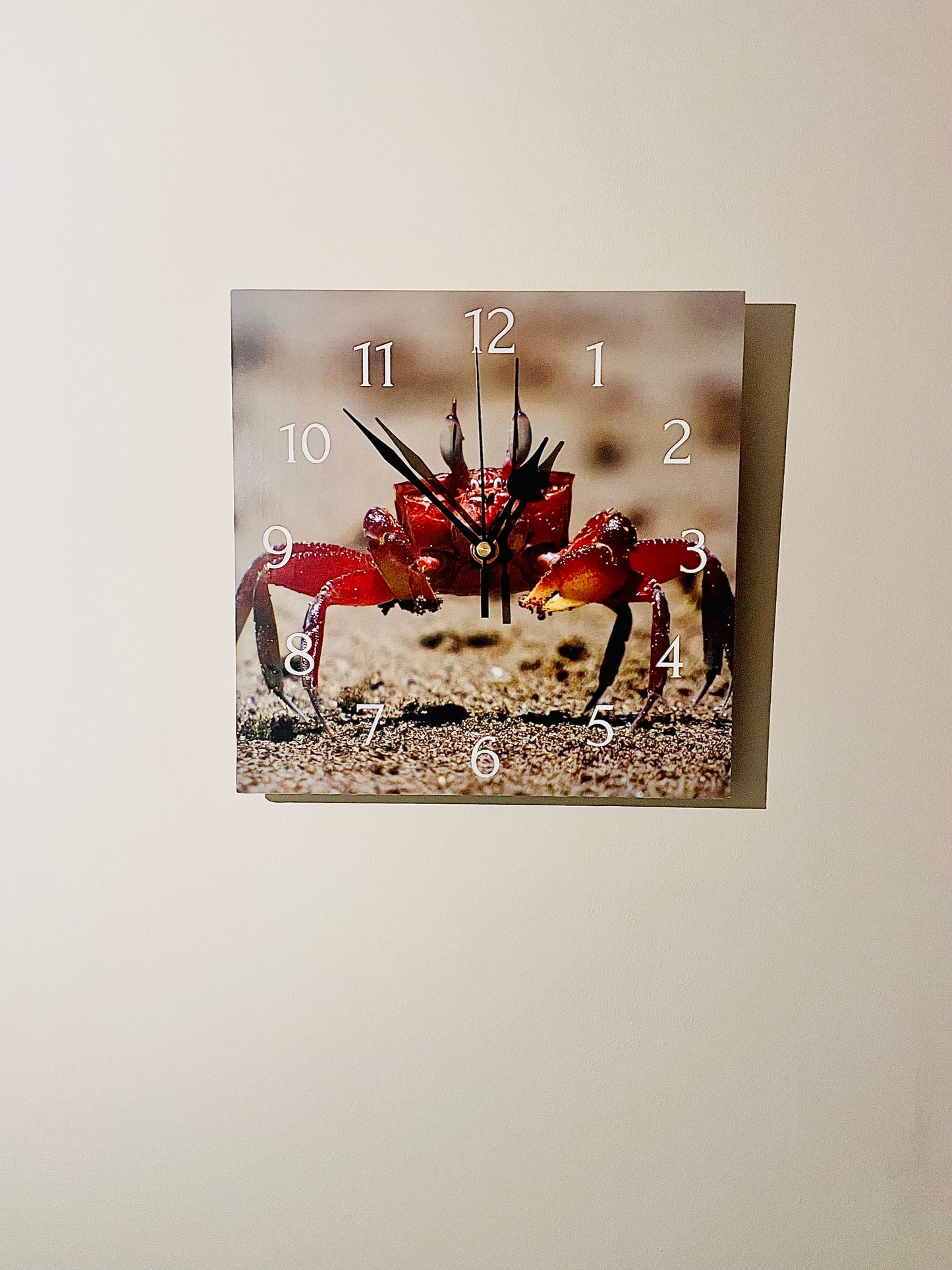 Crab Watching Clock