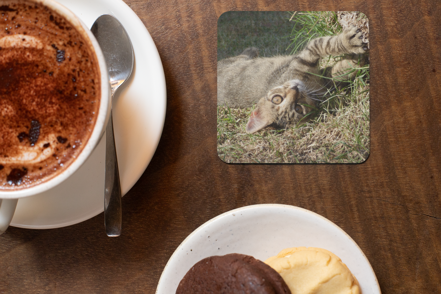 Cats Placemats and Coasters