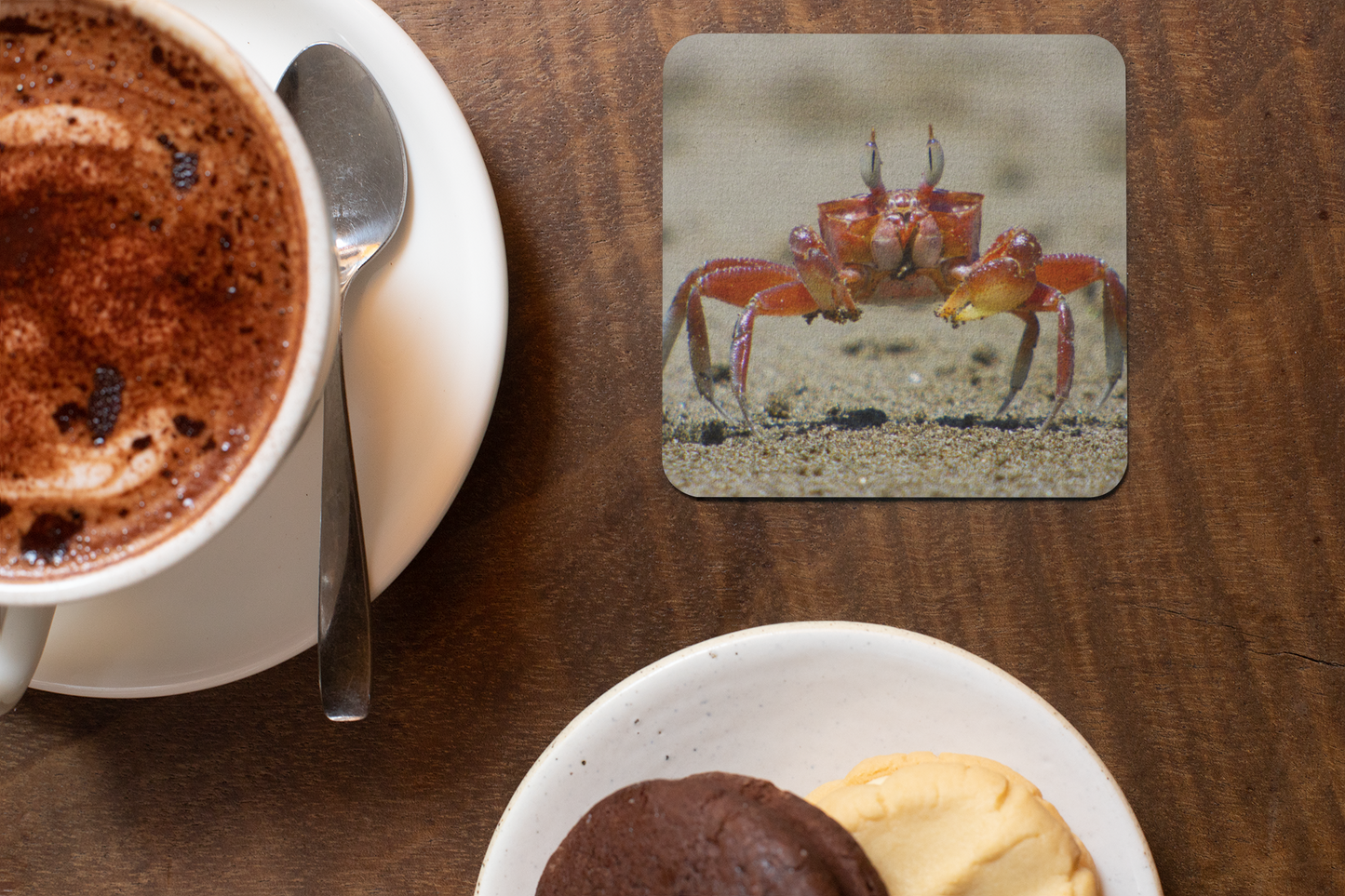 Animals Placemats and Coasters