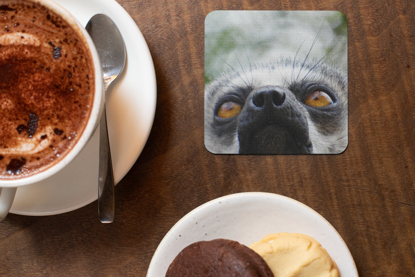 Animals Placemats and Coasters